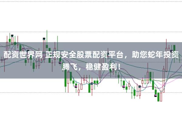 配资世界网 正规安全股票配资平台，助您蛇年投资腾飞，稳健盈利！
