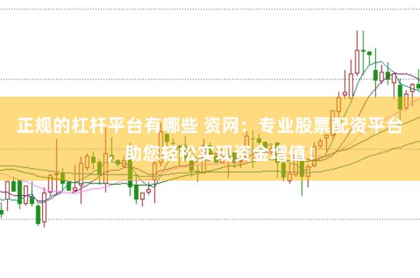 正规的杠杆平台有哪些 资网：专业股票配资平台，助您轻松实现资金增值！