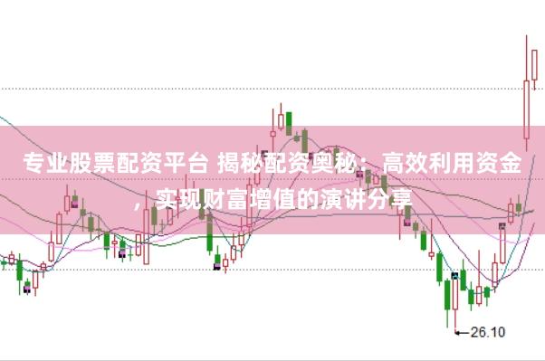 专业股票配资平台 揭秘配资奥秘：高效利用资金，实现财富增值的演讲分享