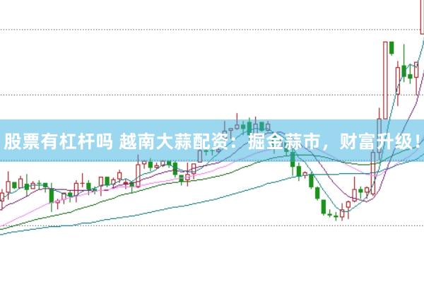 股票有杠杆吗 越南大蒜配资：掘金蒜市，财富升级！