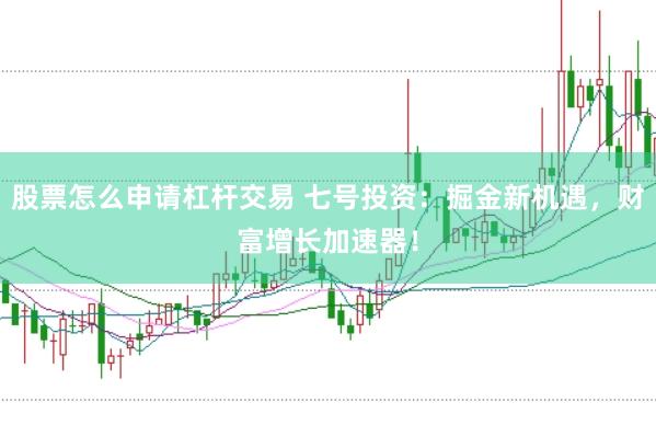 股票怎么申请杠杆交易 七号投资：掘金新机遇，财富增长加速器！