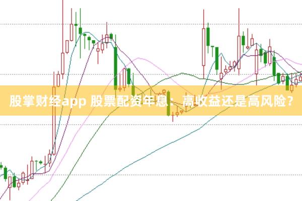 股掌财经app 股票配资年息：高收益还是高风险？
