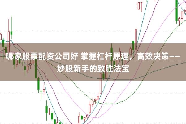 哪家股票配资公司好 掌握杠杆原理，高效决策——炒股新手的致胜法宝