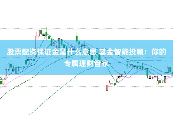 股票配资保证金是什么意思 基金智能投顾：你的专属理财管家