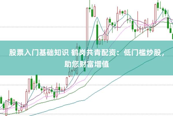 股票入门基础知识 鹤岗共青配资：低门槛炒股，助您财富增值