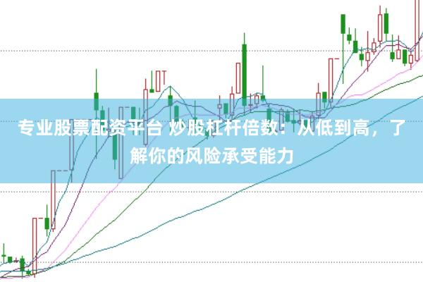 专业股票配资平台 炒股杠杆倍数：从低到高，了解你的风险承受能力