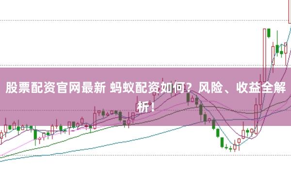 股票配资官网最新 蚂蚁配资如何？风险、收益全解析！