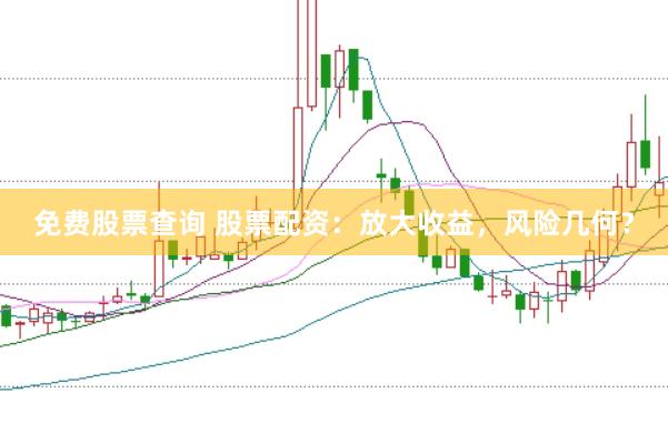 免费股票查询 股票配资：放大收益，风险几何？