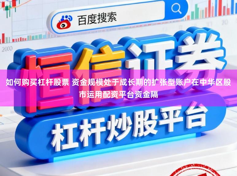 如何购买杠杆股票 资金规模处于成长期的扩张型账户在中华区股市运用配资平台资金隔