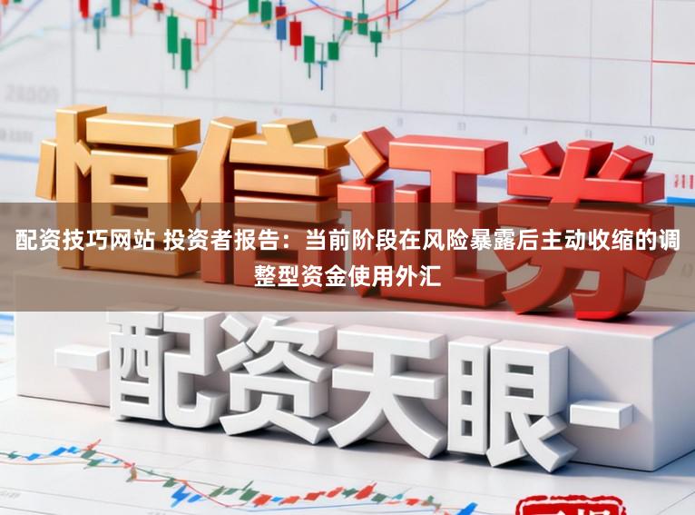 配资技巧网站 投资者报告：当前阶段在风险暴露后主动收缩的调整型资金使用外汇